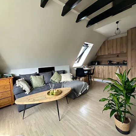 Apartament Ryllówka *