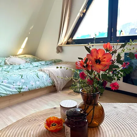 Ryllówka * Zakopane